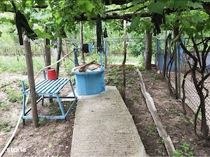 Casă bătrânească, teren 3.227 mp, vie și pomi fructiferi, Iepureni, Iași - imagine 3