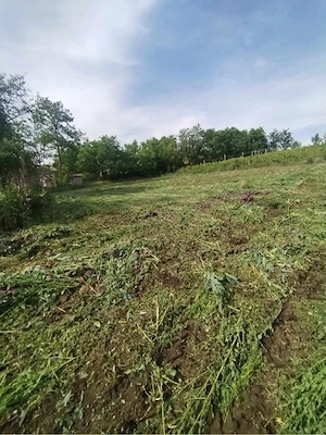Casă bătrânească, teren 3.227 mp, vie și pomi fructiferi, Iepureni, Iași - imagine 5