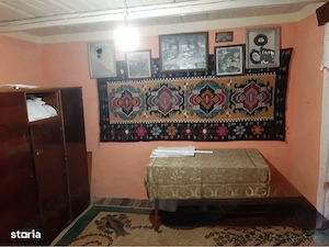 Casă bătrânească, teren 3.227 mp, vie și pomi fructiferi, Iepureni, Iași