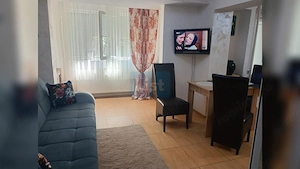 APARTAMENT DE INCHIRIAT - MAZEPA - PARTER - imagine 3