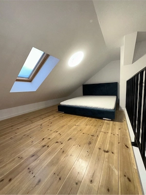 Apartament tip studio modern - imagine 5
