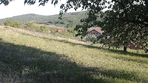 Teren intravilan