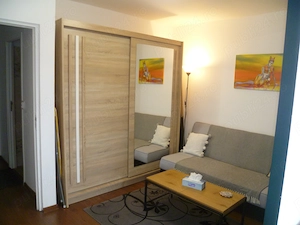 Apartament o camera Hunedoara - imagine 8