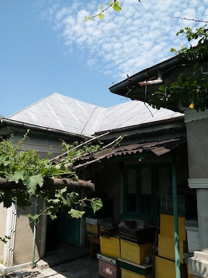 Casa + teren de vanzare în Delta Dunării, sat Ilganii de Jos,com Nufaru,jud.Tulcea - imagine 5