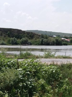 Casa + teren de vanzare în Delta Dunării, sat Ilganii de Jos,com Nufaru,jud.Tulcea - imagine 3