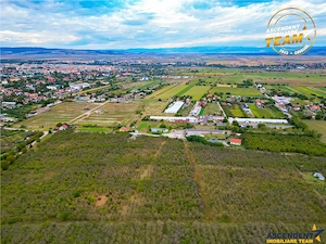 Teren extravilan, 6.510mp, Simeria, Sfantu Gheorghe - imagine 6