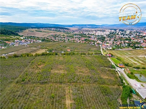 Teren extravilan, 6.510mp, Simeria, Sfantu Gheorghe - imagine 4