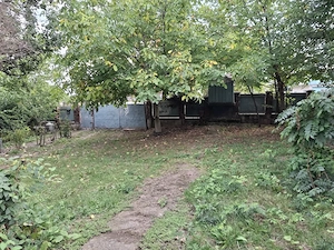Casa bătrânească cu teren 20.000 mp - imagine 4