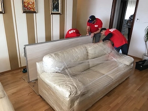 relocari case apartamente firme depozite