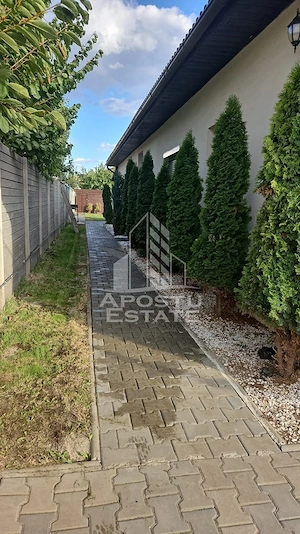 Duplex cu 3 camere,de inchiriat, zona Dumbravita - imagine 17