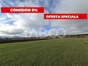 Teren intravilan de vanzare in Rasinari zona Calinis - 890 mp