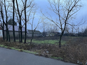 Teren intravilan 1700m2  24ml deschidere  la strada astfalta , centru comuna Florica, jud.Buzau 1360 - imagine 2