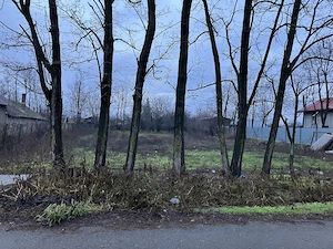 Teren intravilan 1700m2  24ml deschidere  la strada astfalta , centru comuna Florica, jud.Buzau 1360 - imagine 5