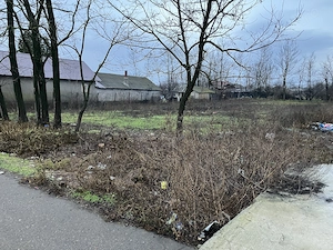 Teren intravilan 1700m2  24ml deschidere  la strada astfalta , centru comuna Florica, jud.Buzau 1360 - imagine 4