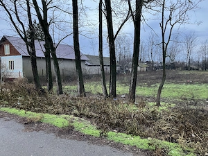 Teren intravilan 1700m2  24ml deschidere  la strada astfalta , centru comuna Florica, jud.Buzau 1360 - imagine 6