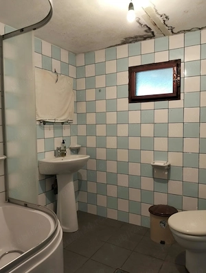 Casa de vanzare la Bodo - imagine 6