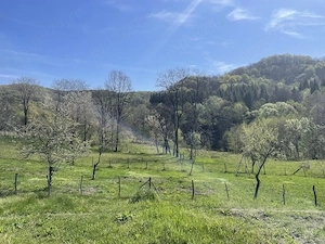 Teren cu cabană în Vâlsănești, Argeș, 3.730 mp, livadă de meri, priveliște spre pădure