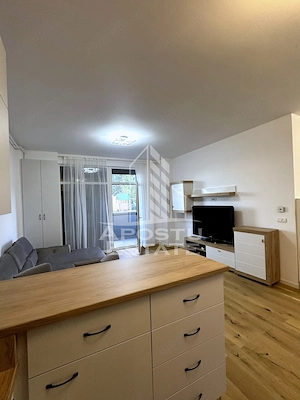 Apartament 2 camere de inchiriat, Incalzire pardoseala,Judetean, Timis - imagine 3