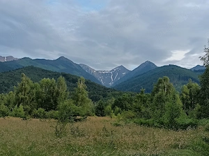 Casă P+E la poalele Munților Făgăraș, 800 mp teren   Vistisoara - Sâmbăta de Sus - imagine 2
