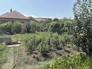 Vand casa + teren loc Nadaselu - imagine 5