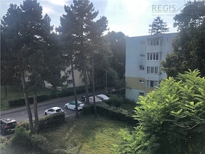 Apartament gata de mutare,  2 Camere Gemenii - Vlahuta la etaj intermediar cu priveliste si aer cura