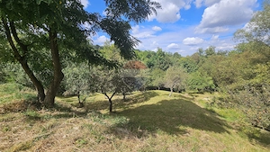 Teren intravilan | 4840 mp | Casă + Anexe | Utilități | Sohodol | Bran - imagine 15