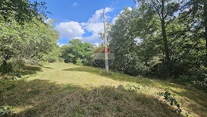 Teren intravilan | 1720mp | Drum asfaltat | Utilități | Sohodol | Bran - imagine 2