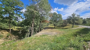 Teren intravilan | 4840 mp | Casă + Anexe | Utilități | Sohodol | Bran - imagine 17