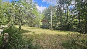 Teren intravilan | 1720mp | Drum asfaltat | Utilități | Sohodol | Bran - imagine 5