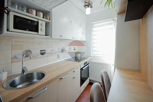 De vânzare apartament cu o cameră, în zona Nufărul - imagine 6