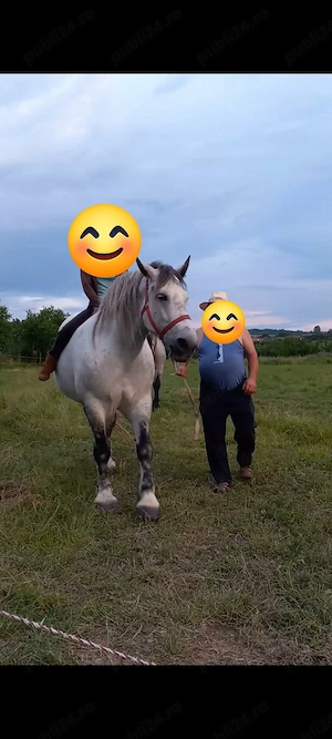 vand 2 iepe mama si fiica - imagine 4