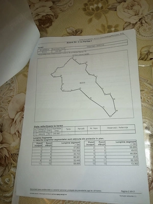 Teren 14,1 ha Petrești   Burjuc, Hunedoara | investiție   dezvoltare | 149.000   - imagine 2