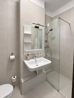 Apartament tip penthuse, 3 camere, 2 bai, Torontalului - imagine 10