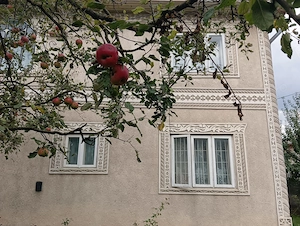 Vând casă imobiliare  - imagine 5