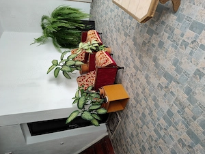 Inchiriez Garsoniera in Zona Plopi, linia E8 - imagine 7