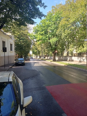 Copou garsonieră 20 m  lângă AI Cuza - imagine 4