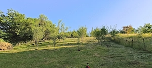 Teren de vânzare în Jud.  Cluj Sat Nicula - imagine 9