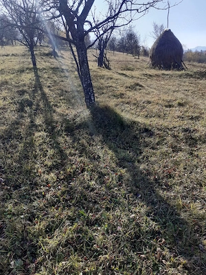 De vânzare teren intravilan de 2000 mp în Poienile Izei, Maramureș   Proprietar