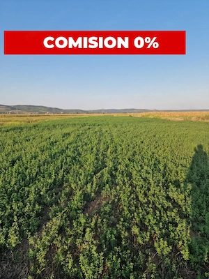 TEREN 2353 MP – UDENI-ZĂVOI, JUD. ARGEȘ | COMISION 0%