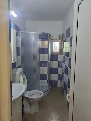 Casa și teren de vânzare  - imagine 6