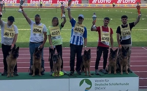 Super mascul ciobanesc german pedigree top - imagine 4