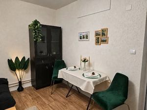 Închiriere locuință la casă  2 camere  curte   Piața Romană   Dorobanți   Pet Friendly  60 m  - imagine 6