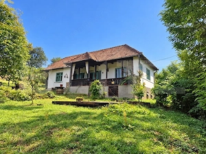 Gospodarie traditionala transilvaneana cu teren de 5.032 mp - imagine 4