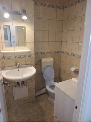 Închiriez apartament cu 3 camere în cartier Manastur  - imagine 8
