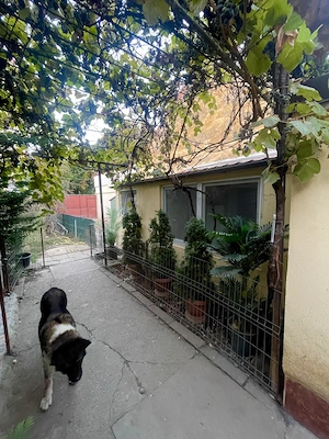 Chirie  cazare termen lung (zona Sagului). Garsonieră la casa cu terasa. - imagine 7