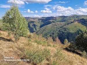 Vând două parcele de teren în suprafață de 3000 și 4700 mp - imagine 6