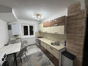 Apartament 2 camere, parter, 50 mp, Brazda Lui Novac - imagine 12