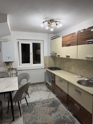 Apartament 2 camere, parter, 50 mp, Brazda Lui Novac - imagine 10