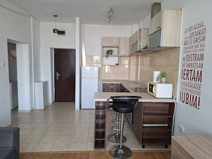 PF inchiriez apartament 2 camere, Iasi, zona Granit - imagine 3
