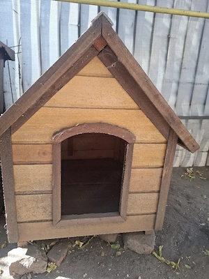 Vând cuscă pentru câine (2buc)